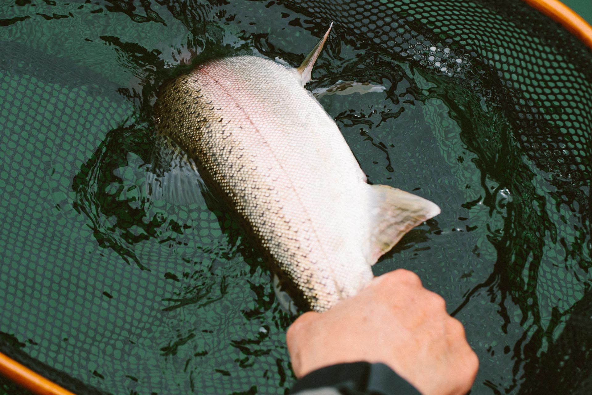 Sheridan Lake fishing