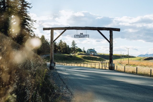 Monte Creek Ranch Winery / Field & Forest