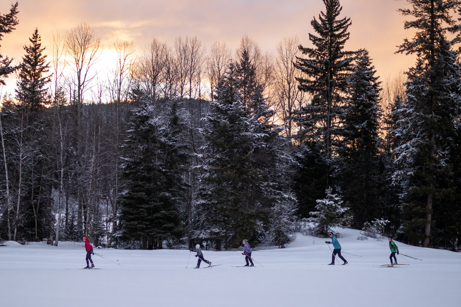 Cross-country skiing