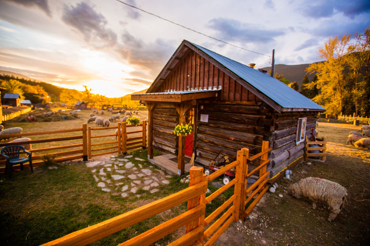 The Heritage Cabin for Travelers or Renters