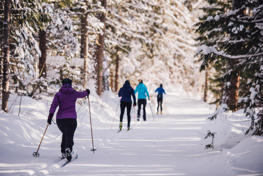 Candle Creek Trails snowshoeing activity in BC