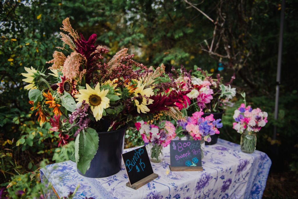 Clearwatera Farmers' Market │ Holly Louwerse Photography
