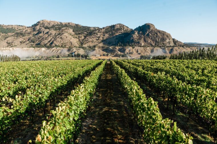 Monte Creek Ranch Winery/Royce Sihlis/Tourism Kamloops