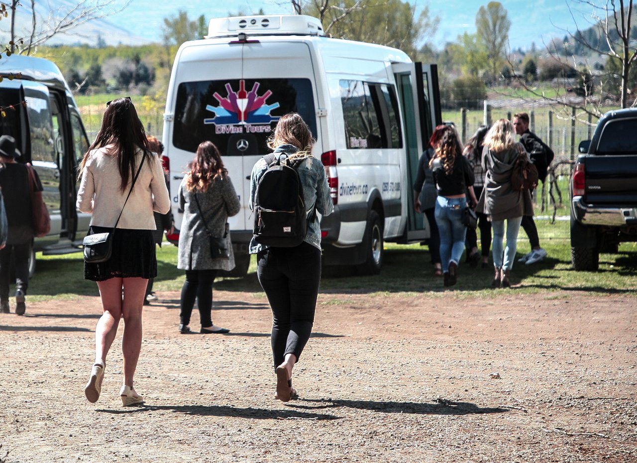 DeVine Tours/Candace Hansma