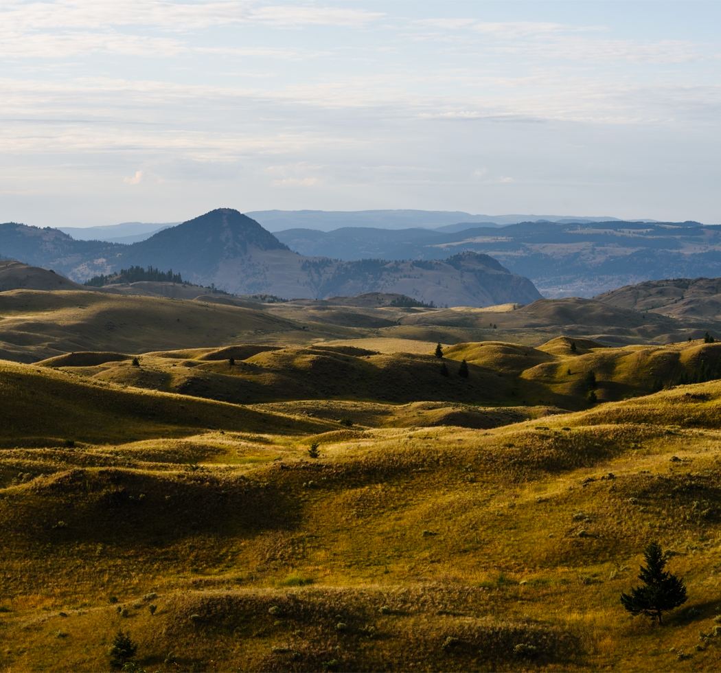 Thompson Valley, Kamloops