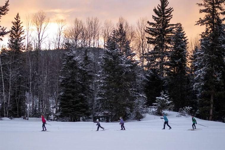 Cross-country skiing