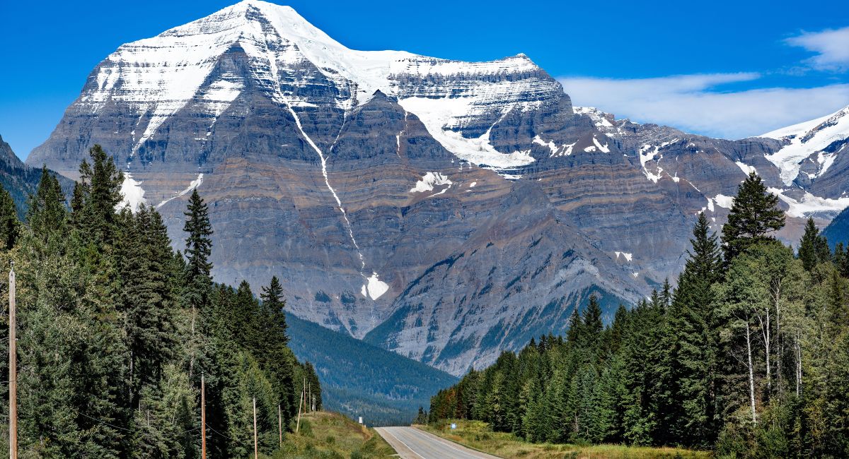  A road leading to snow-capped peaks of Mount Robson under a blue sky.