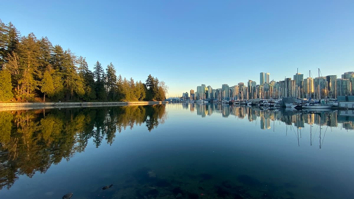 View of both Stanley Park and the Vancouver city skyline next to boats in the marina with blue skies