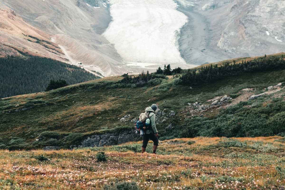 Man hiking through a meadow of wildflowers on a hiking trail in Jasper National Park