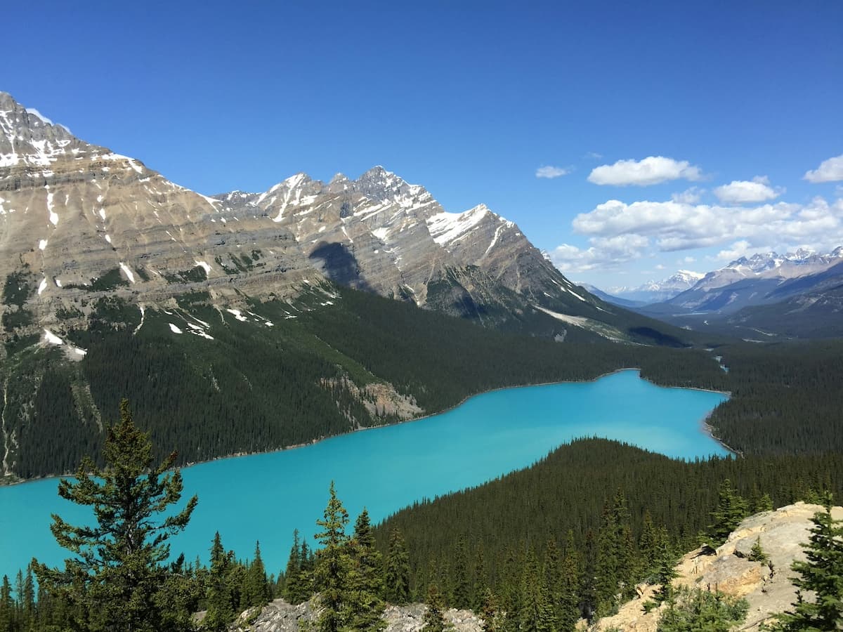 Maligne Lake in Jasper with bright blue waters and green forests and mountains surrounding the lake