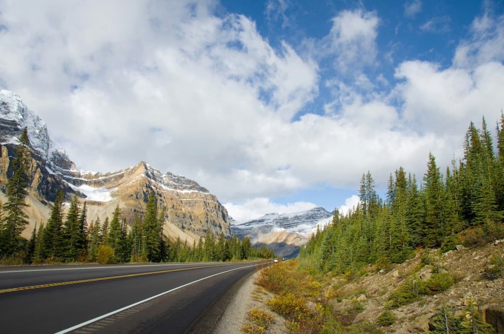 Highway in Canada surrounded by trees and mountains