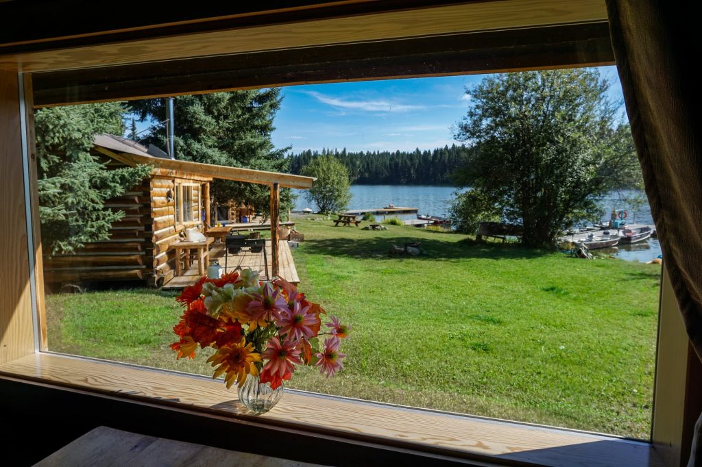 View from a lakefront cabin's window in the summer